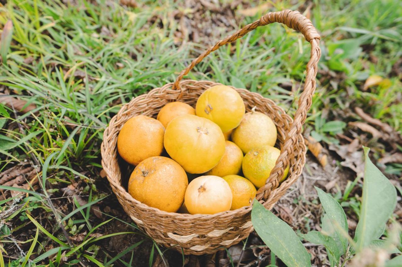 Piripe Wellness Lodge Pacto Esterno foto