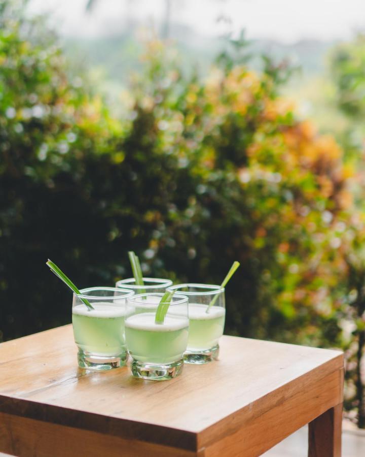 Piripe Wellness Lodge Pacto Esterno foto
